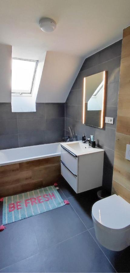 Apartman Pod Jestedem Apartment Liberec Luaran gambar